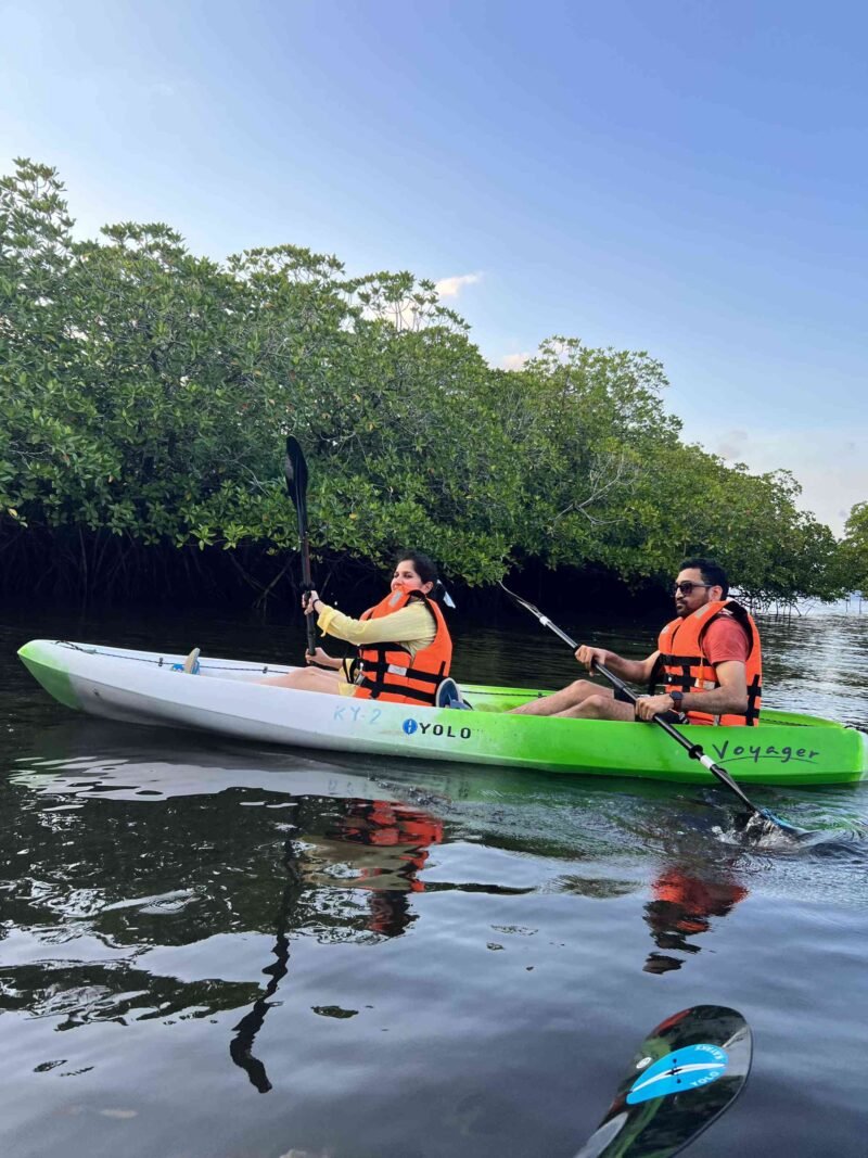 mangrove kayaking havelock
