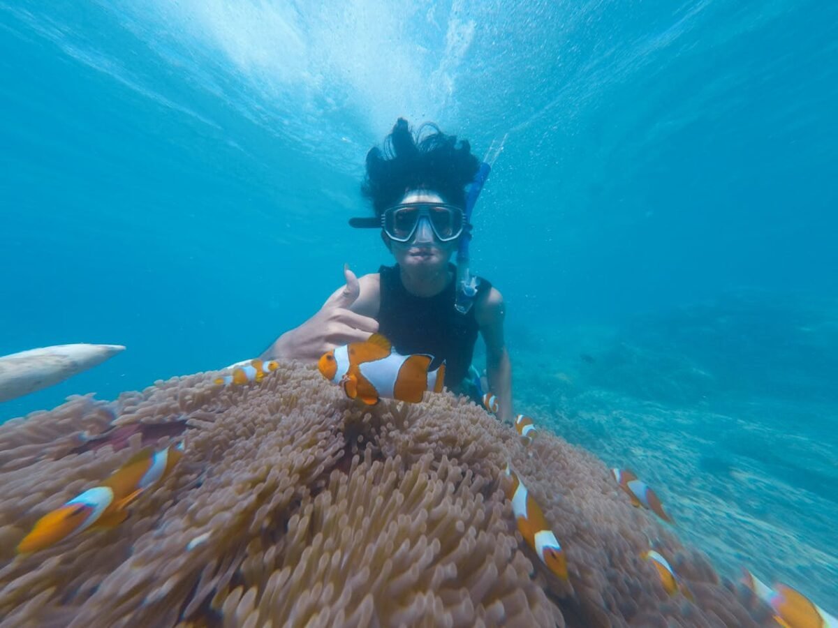 snorkeling in andaman havelock