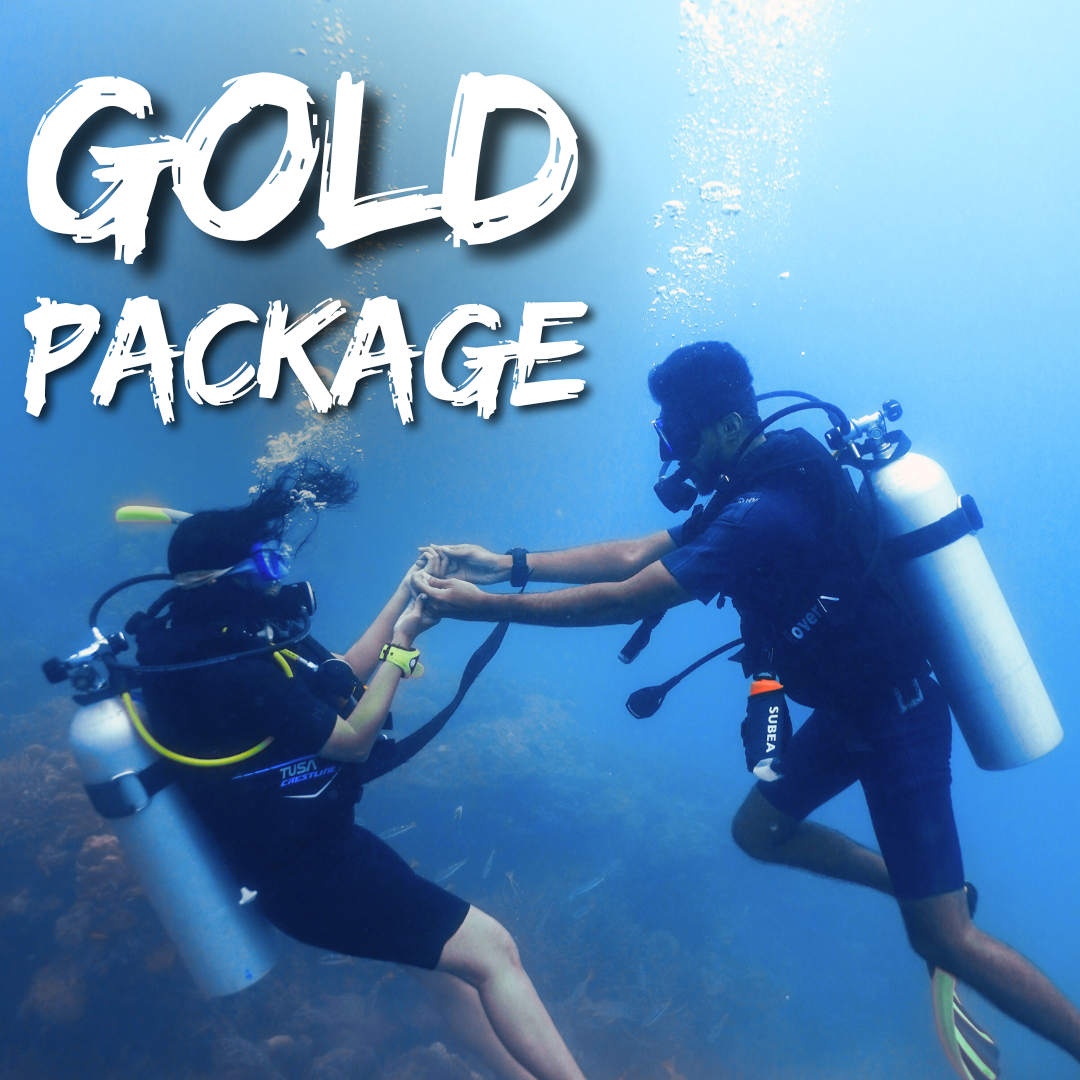 scuba Diving havelock andaman Gold Package