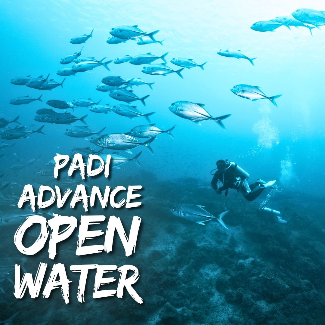 Advance PADI open water coourse in andaman havelock