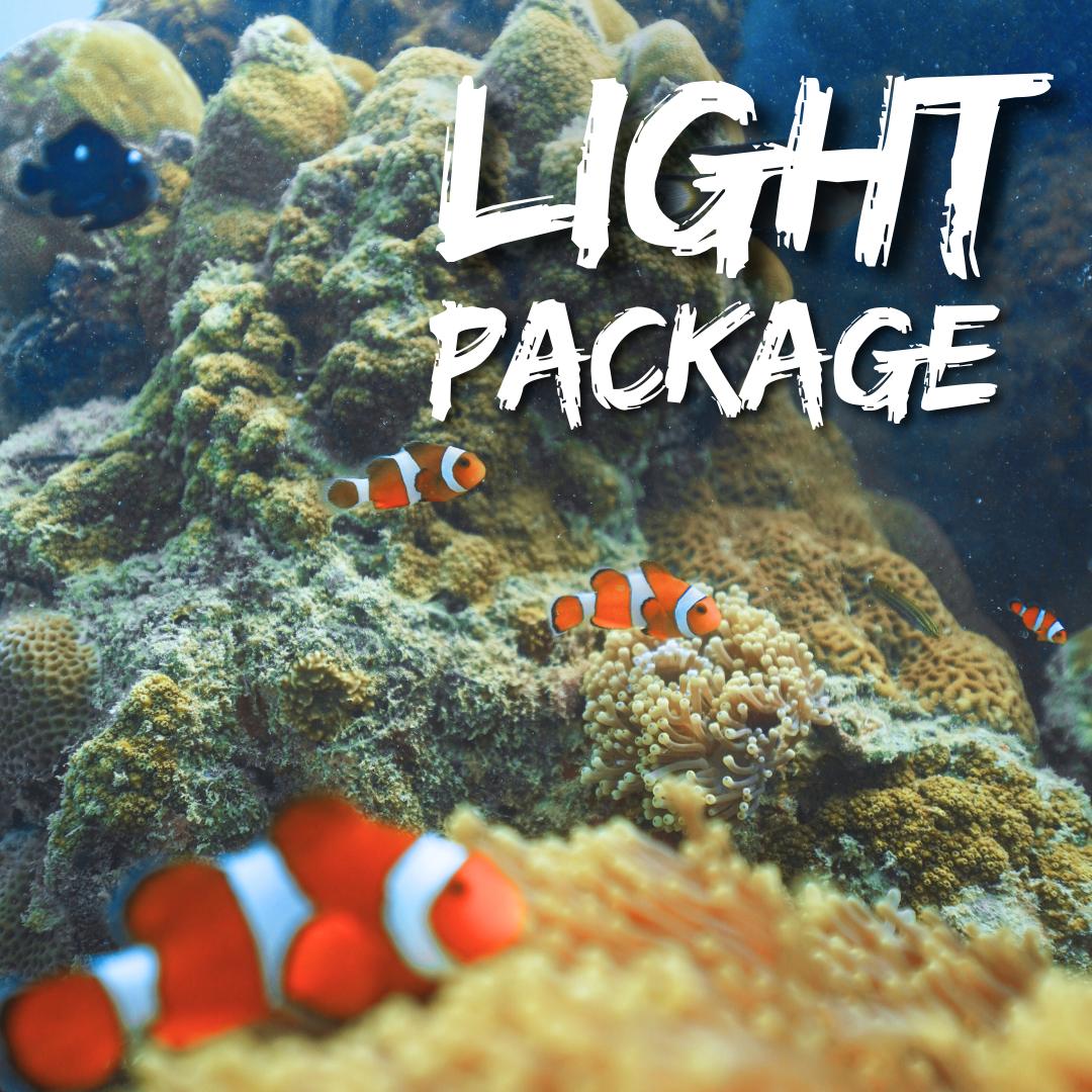 scuba Diving havelock andaman Light Package