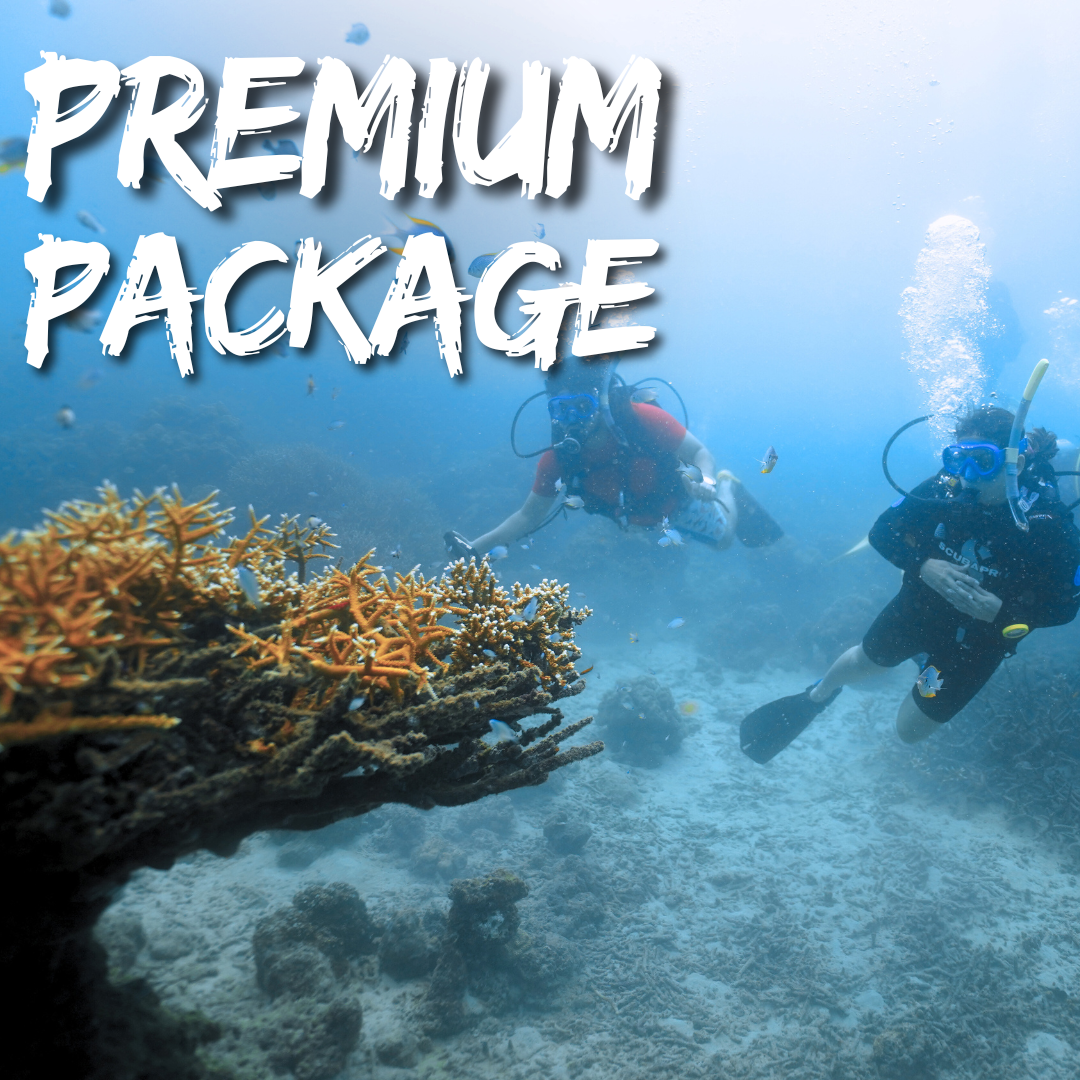 scuba Diving havelock andaman Premium Package